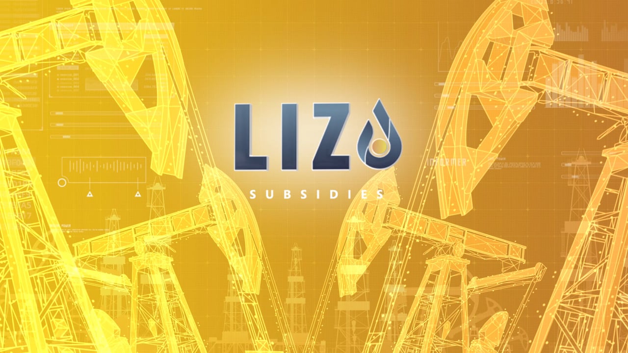 Leia mais sobre o artigo Lizo | Digital transformation in the oil & gas industry: seamless scaling and automatic updating