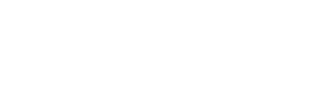 BlueIT Solutions